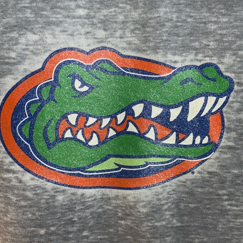 University of Florida Emerson Street Collegiate Hoodie Pullover Sweatshirt L - Picture 5 of 8